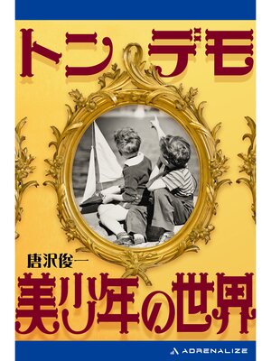 cover image of トンデモ美少年の世界